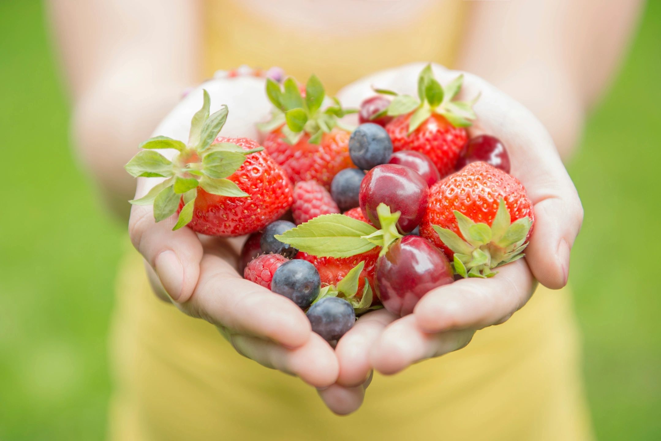 Wellness Services SunCoast Optimal Wellness wellness-services-suncoast-optimal-wellness